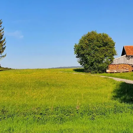 Ferienhaus Am Hochbergle Haus 116